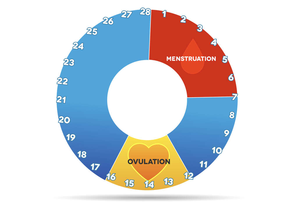 Ovulation Pain