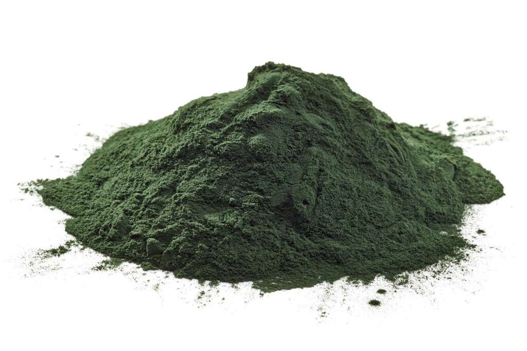 Chlorella