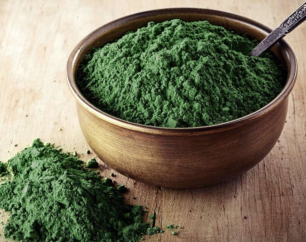 Chlorella