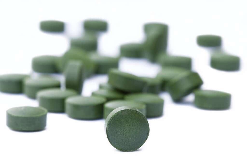 Chlorella