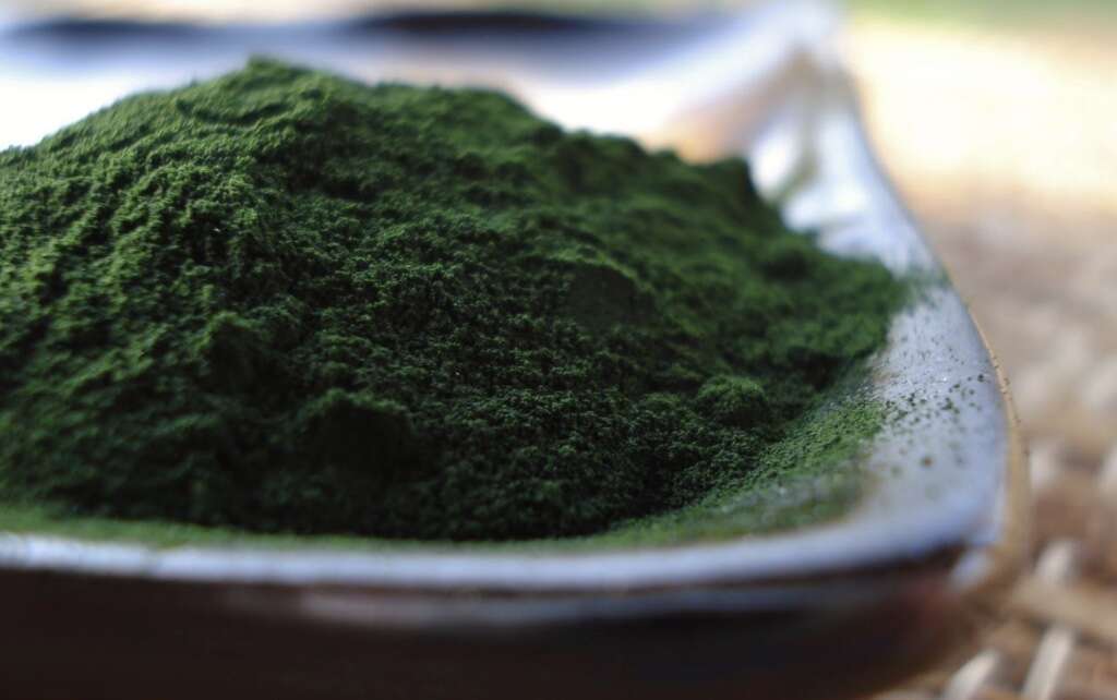 Chlorella