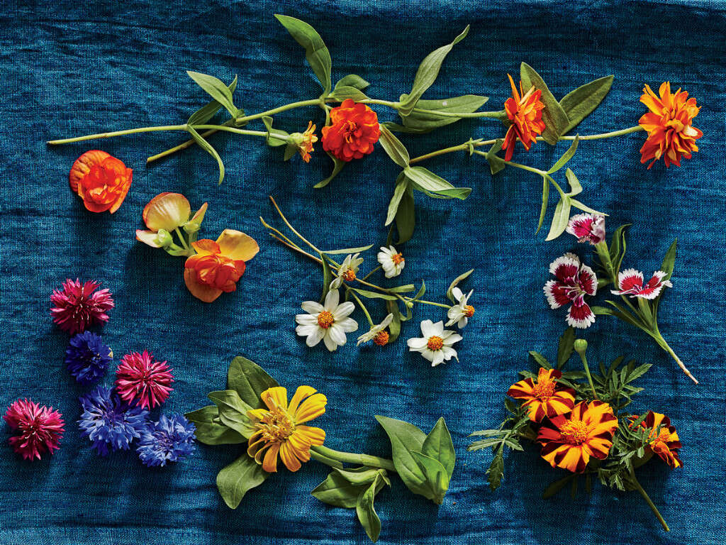 Edible Flowers