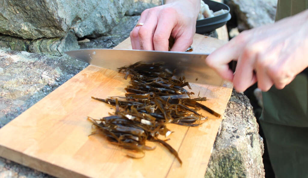 Eating Kelp