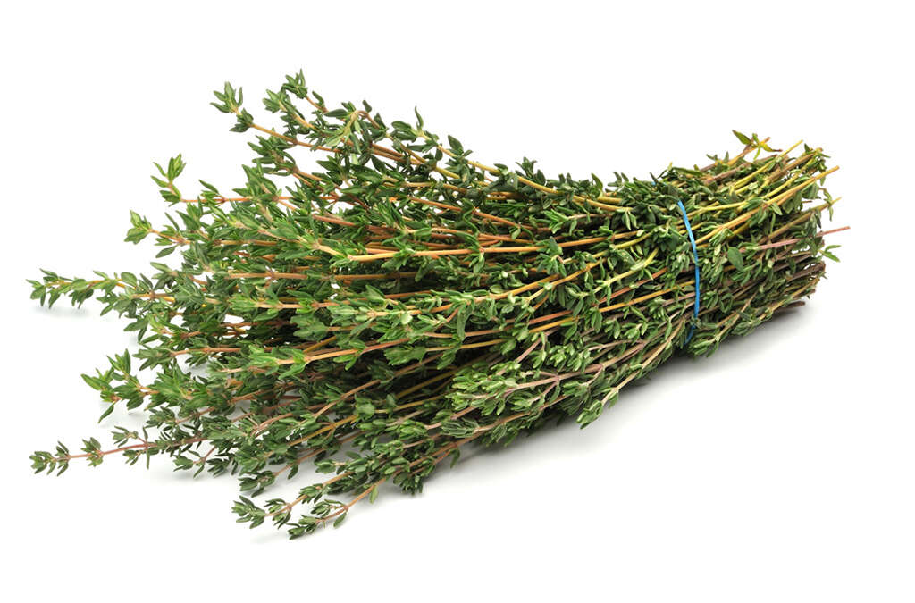 Thyme