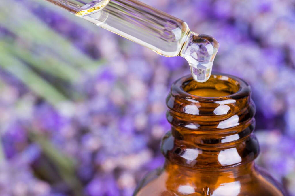 Lavender Oil