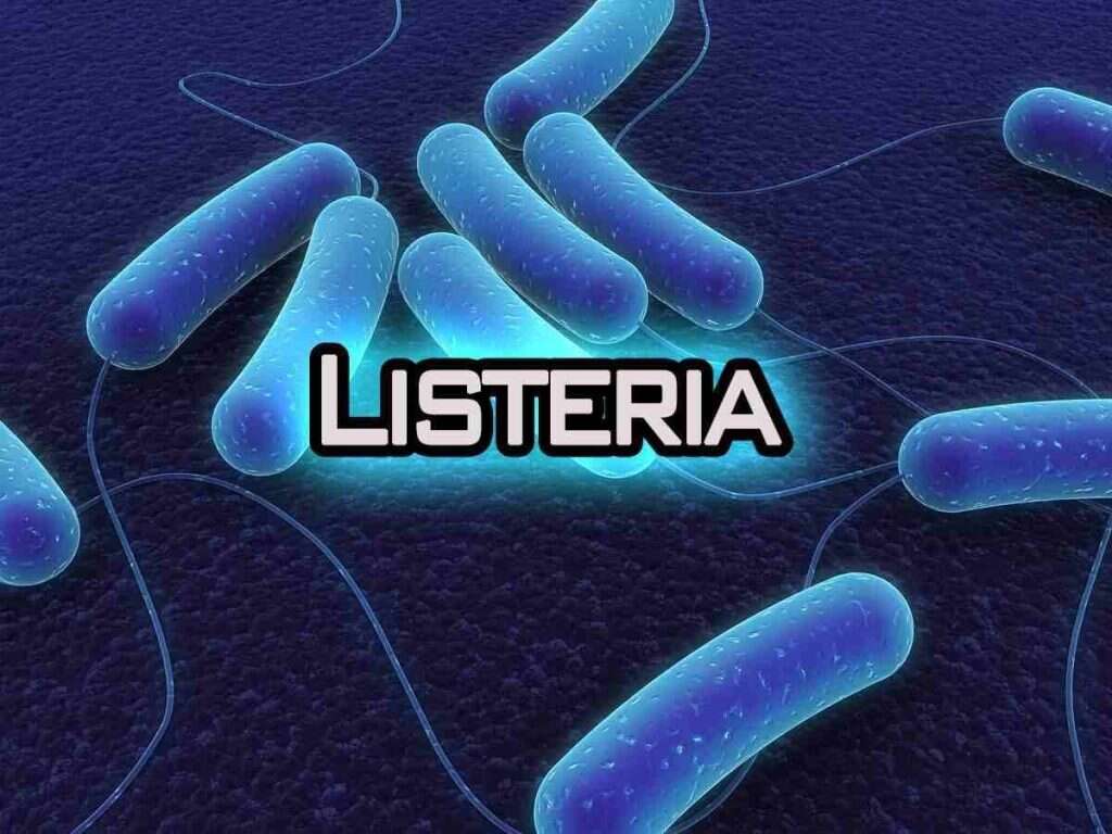 Listeria