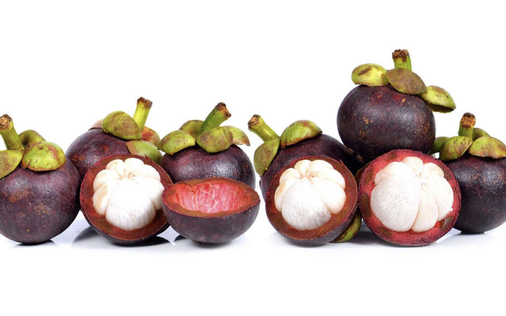 Mangosteen