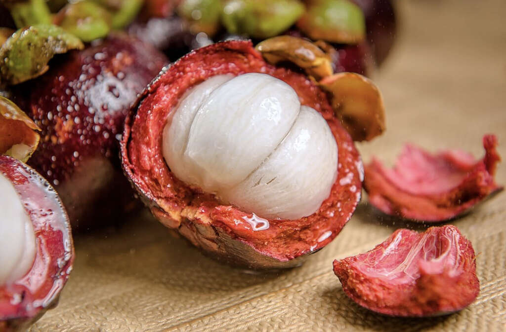 Mangosteen