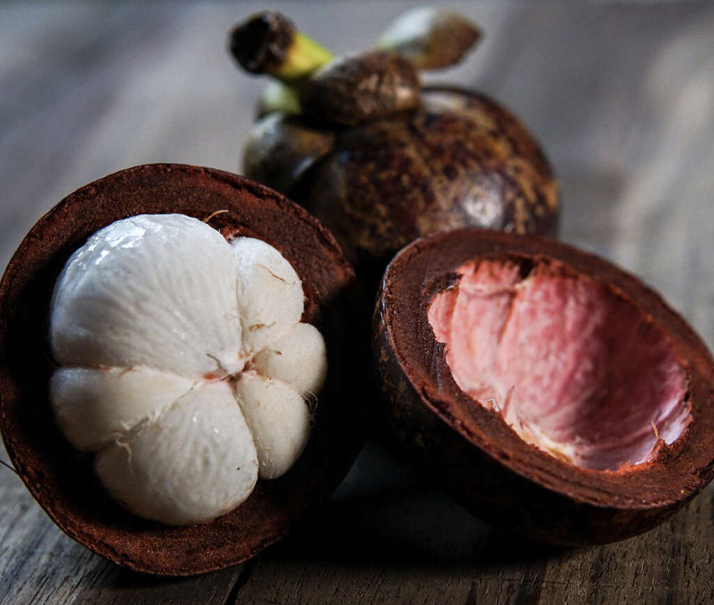 Mangosteen