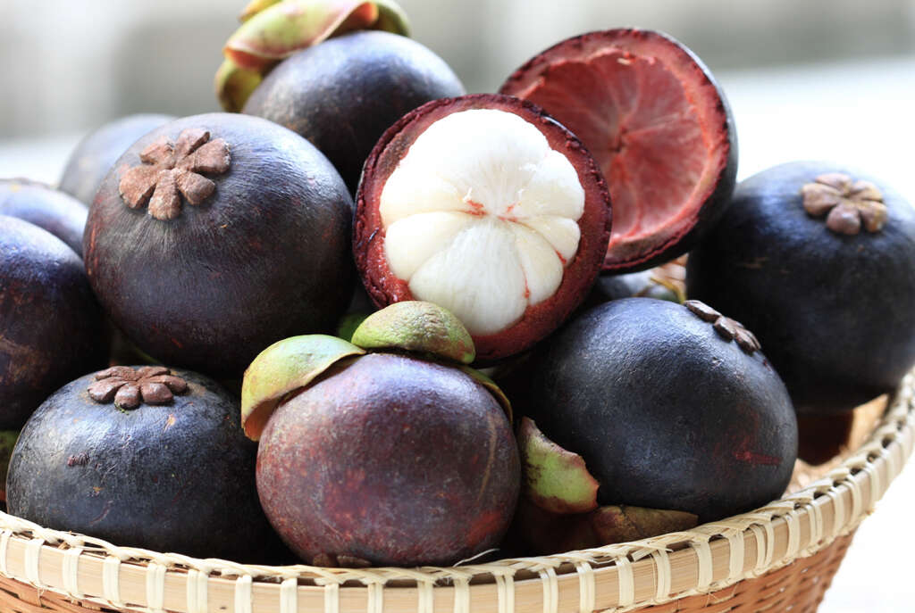 Mangosteen