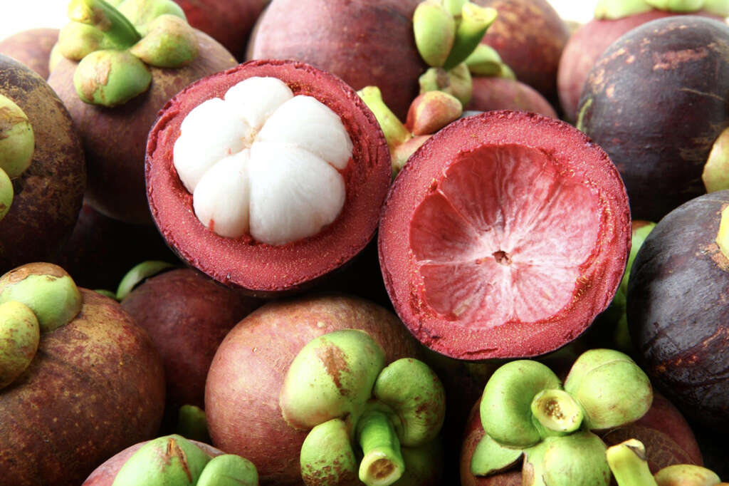 Mangosteen