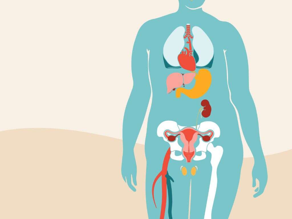 Fatty Liver