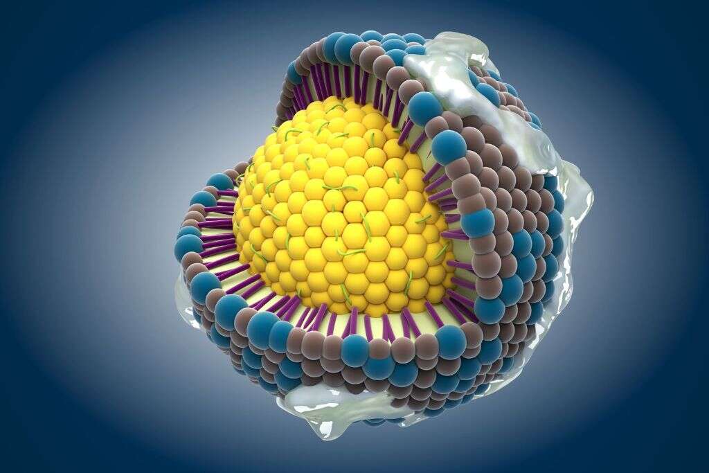 Oxidized Cholesterol