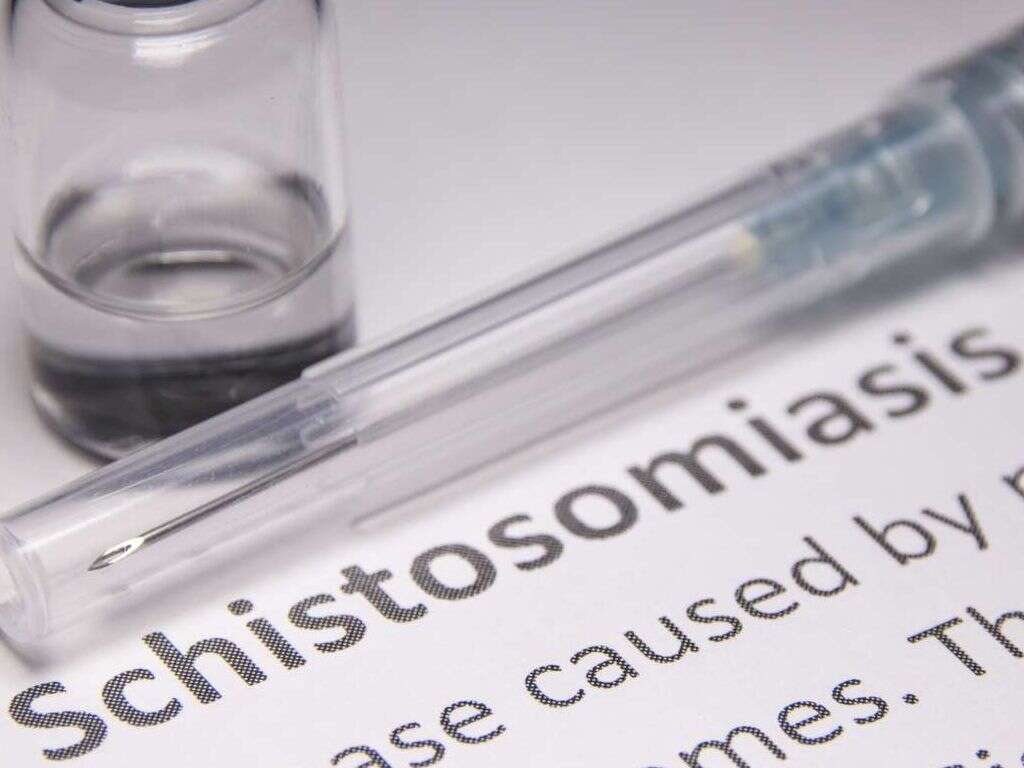 Schistosomiasis